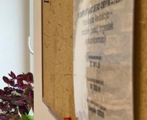 Plakat informacyjny „Dofinansowano ze środków budżetu państwa – Kompas Młodego Obywatela” przypięty na tablicy korkowej w sali, obok rośliny na parapecie